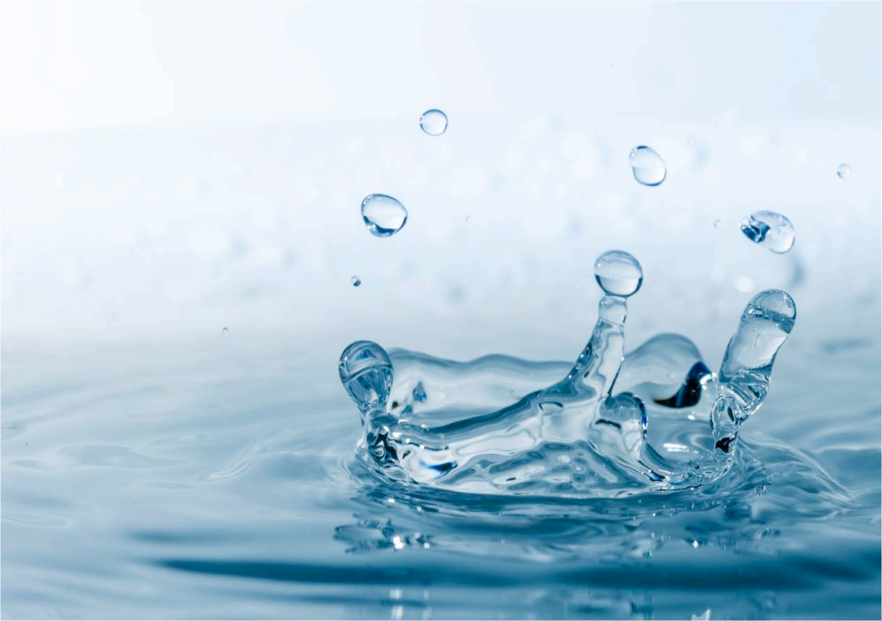 Camper scarpe shop firenze