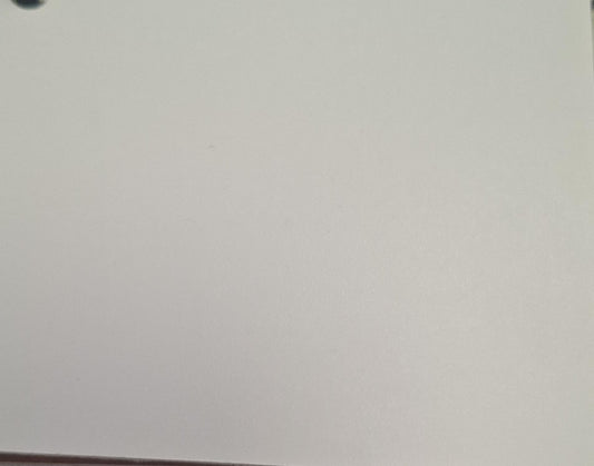 PANNELLO COMPENSATO NOBILITATI  222X122X0,3 CM PVC BIANCO
